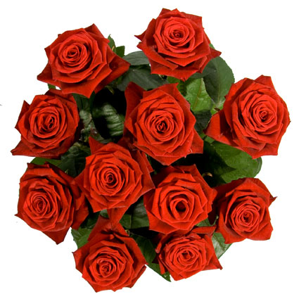 Roses with delivery from a flower shop. A bouquet of red roses