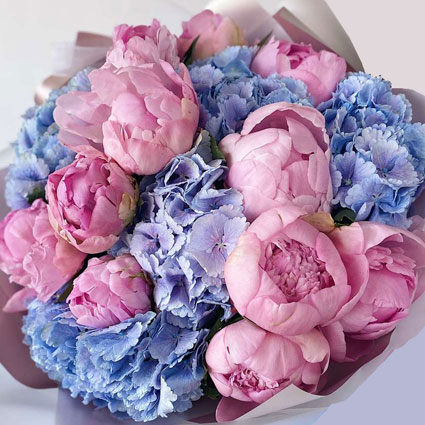 Gorgeous bouquet of pink peonies and blue hydrangea