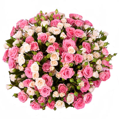 Flowers delivery. Different shades of pink in this charming bouquet of 25 sprayroses.